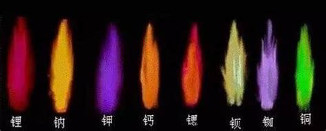 元素燃燒顏色 動物有靈性嗎